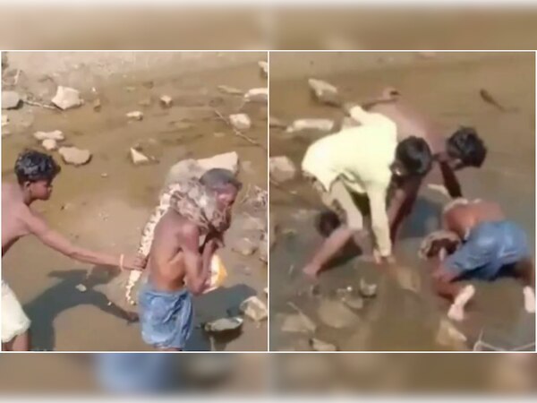 Video: Video: अजगर से छेड़छाड़ कर रहा था शख्स, गले में लिपट कर सिखा दिया सबक, देखें