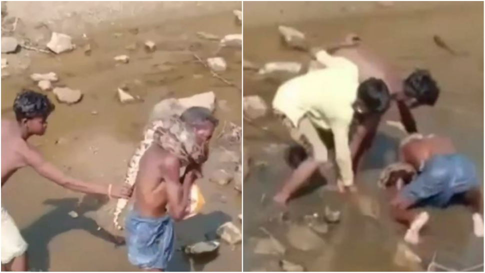 Video: Video: अजगर से छेड़छाड़ कर रहा था शख्स, गले में लिपट कर सिखा दिया सबक, देखें Video: Video: अजगर से छेड़छाड़ कर रहा था शख्स, गले में लिपट कर सिखा दिया सबक, देखें