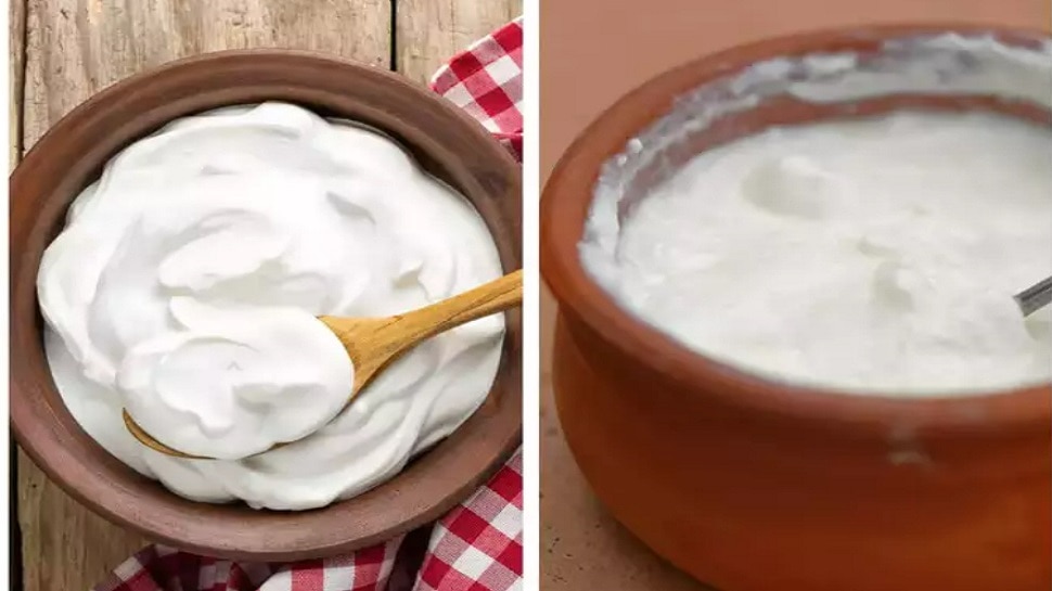 know difference between curd and yogurt dahi or curd me antar benefits