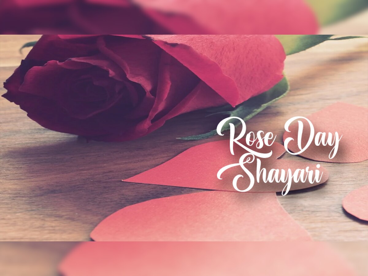 Rose day 2023 wishes: इन बेहतरीन उर्दू शायरी से करें अपने पार्टनर को इंप्रेस