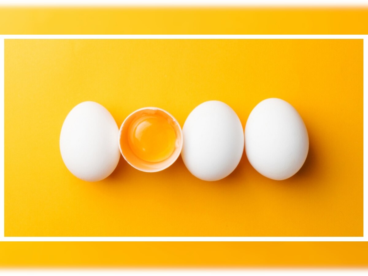 Egg: अंडे के साथ गलती से भी न खाएं ये चीजें, बिगड़ सकती है सेहत