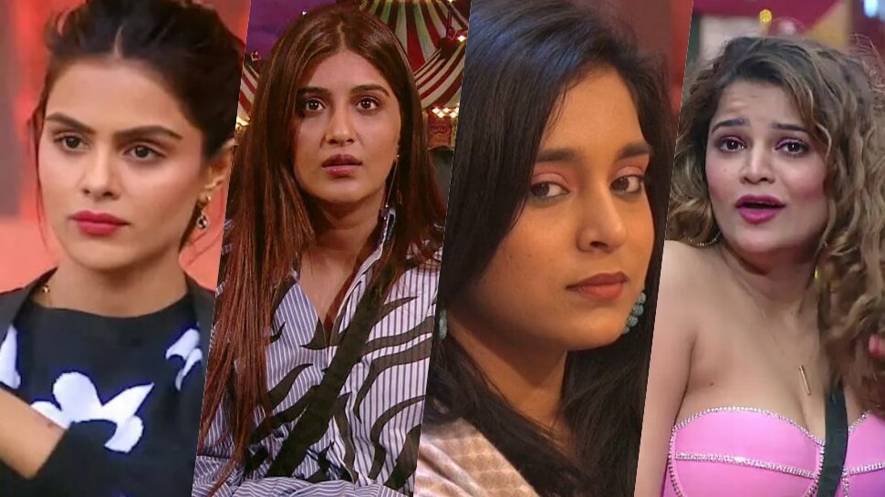 Bigg Boss 16: ना Priyanka-ना Sumbul हैं 'नागिन', Krushna Abhishek ने खोला राज, नाम जानकर बिल्कुल नहीं उड़ेंगे होश!