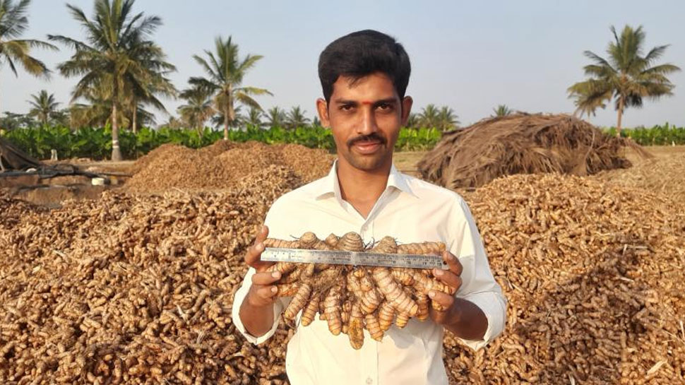 black turmeric farming 5000 per kg rate farmers may get bumber benefit
