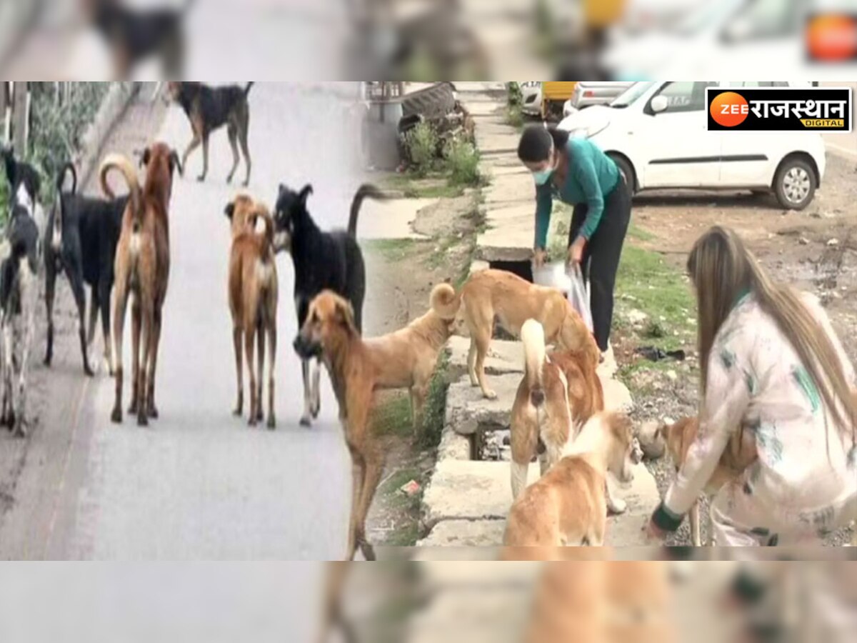 Jaipur News: तख्तियां लेकर निकाली शवयात्रा, कहा- सड़कों पर रोज 200 से अधिक कुत्ते मौत का शिकार हो रहे