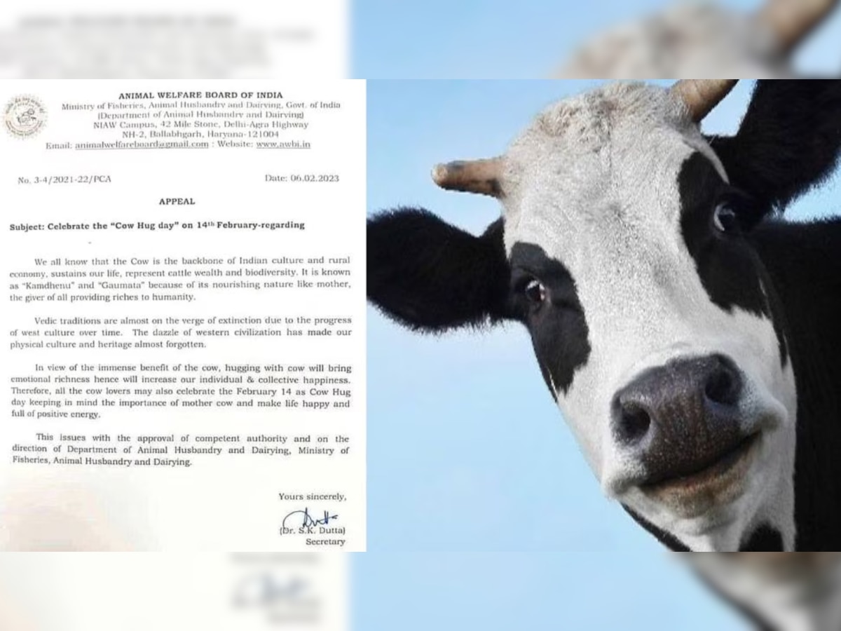 Cow Hug Day: 'वैलेंटाइन डे' नहीं 14 फरवरी को मनाएं ‘काउ हग डे’, जानें कौन कर रहा ये अपील