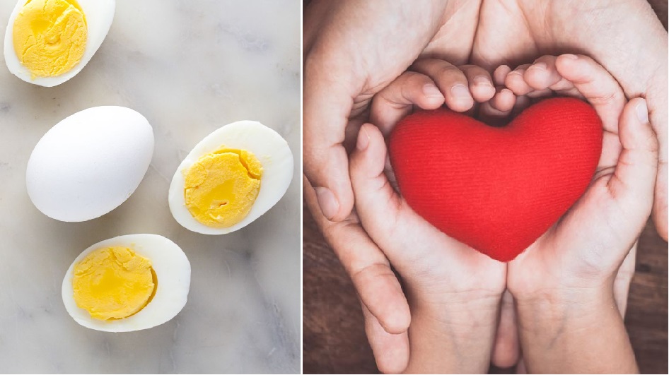 Do Eggs Harm Your Heart Know How Many Eggs Should Be Eaten In One Day do-eggs-harm-your-heart-know-how-many-eggs-should-be-eaten-in-one-day