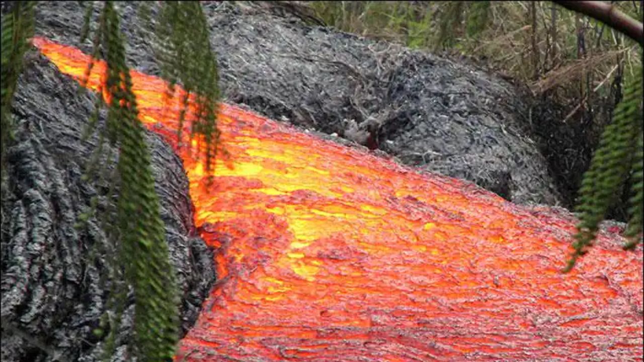 Underground World: सालों बाद सामने आया 'पाताल लोक' का सच! इस चिपचिपी चीज को देख वैज्ञानिक भी हुए हैरान