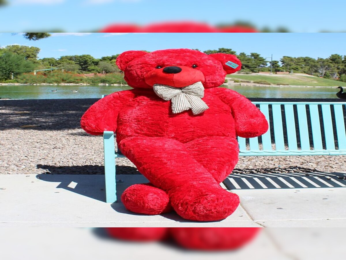 teddy day 2023 Before giving Teddy Bear partner loved Teddy Day history