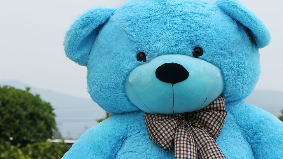 teddy day 2023 Before giving Teddy Bear partner loved Teddy Day history