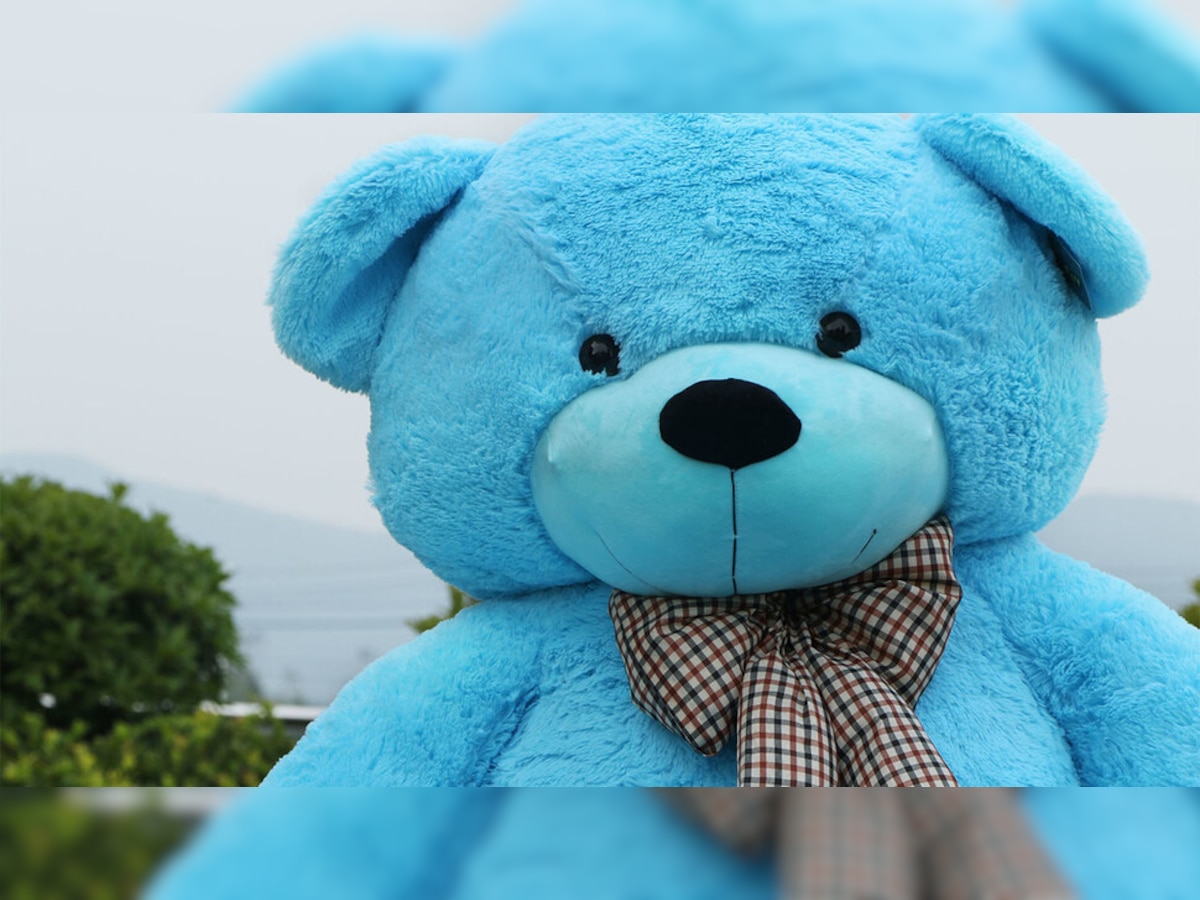 Teddy Day 2023 Before Giving Teddy Bear Partner Loved Teddy Day History Know Meaning Colourful