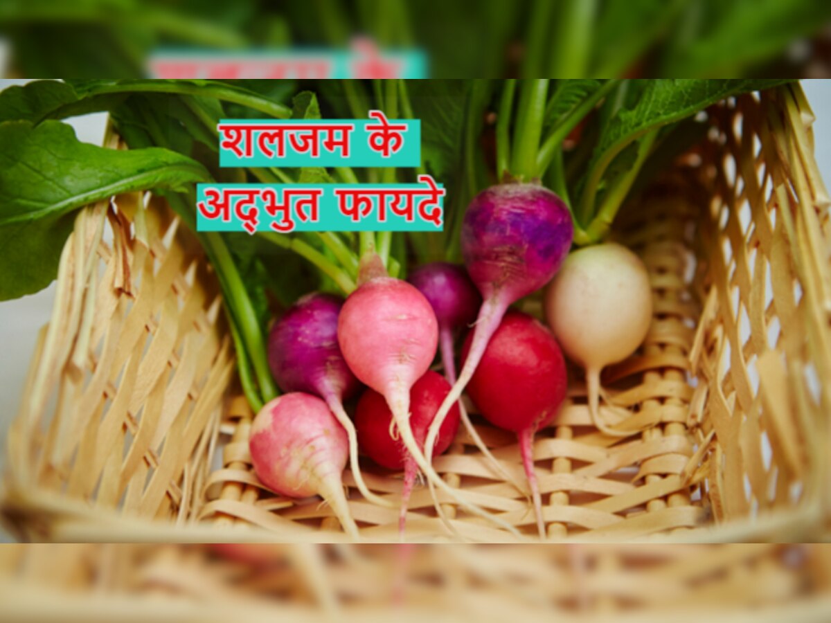 Turnips Benefits: पोषक तत्वों से भरपूर है शलजम, इसके फायदे जान हैरान रह जाएंगे आप 