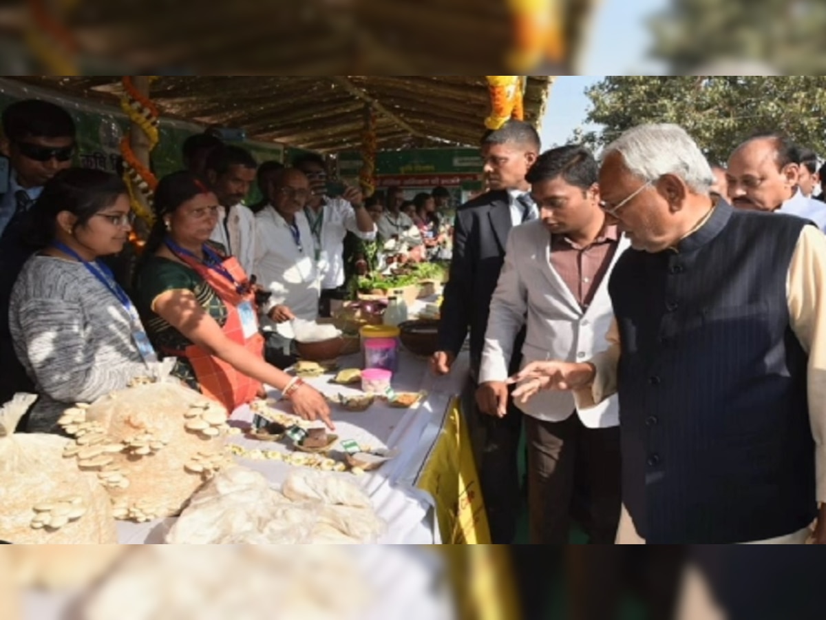CM Nitish Kumar : समाधान यात्रा के दौरान मरकट्टा गांव पहुंचे सीएम नीतीश कुमार, विकास कार्यों का लिया जायजा
