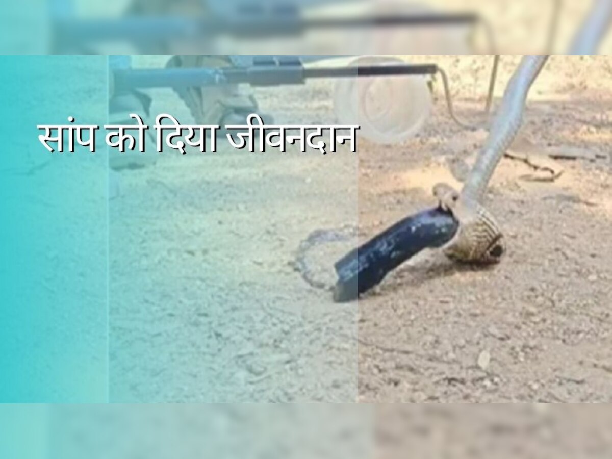 Snake Video: सांप अपने अंदर प्लास्टिक का पाइप निगल गया..लड़के ने दिखाई बहादुरी, ऐसे बचाई उसकी जान