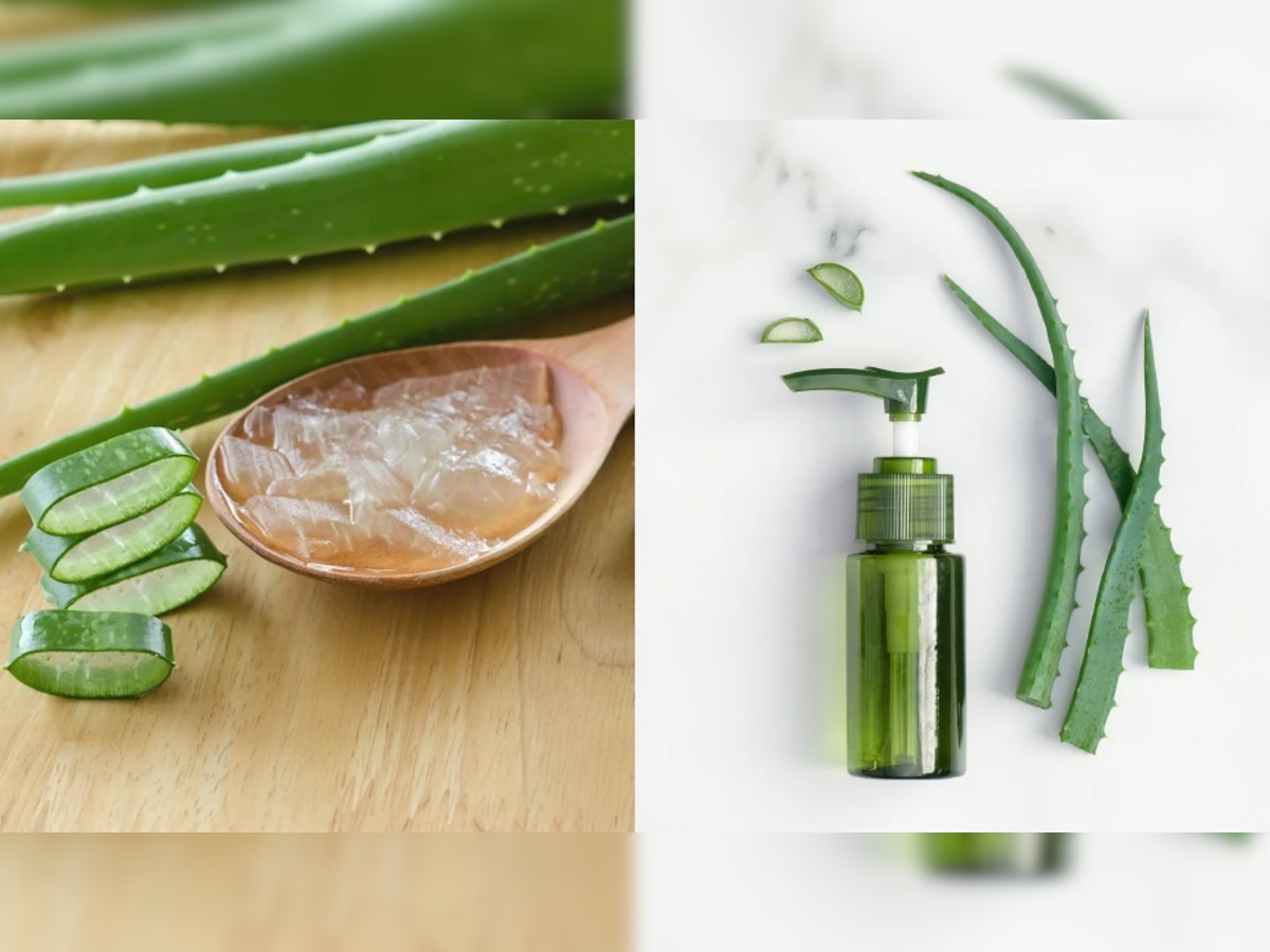 How To Make Aloe Vera Face Wash: एलोवेरा की मदद से घर पर बनाएं फेस वॉश, 1 ही इस्तेमाल से चेहरा दिखेगा ग्लोइंग