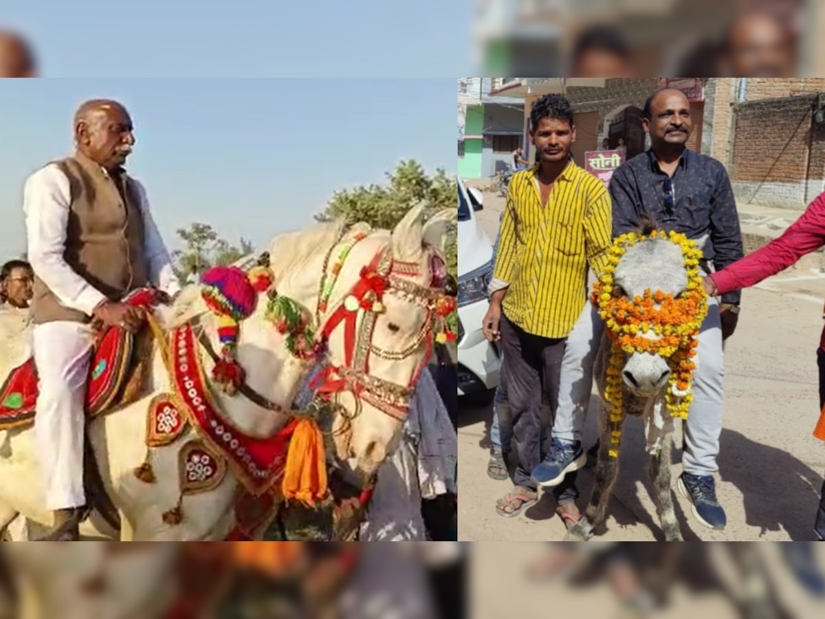 BJP Vikas Yatra Photos: कोई घोड़े पर चढ़ा किसी ने की गधे की सवारी! विकास यात्रा की अनोखी तस्वीरें