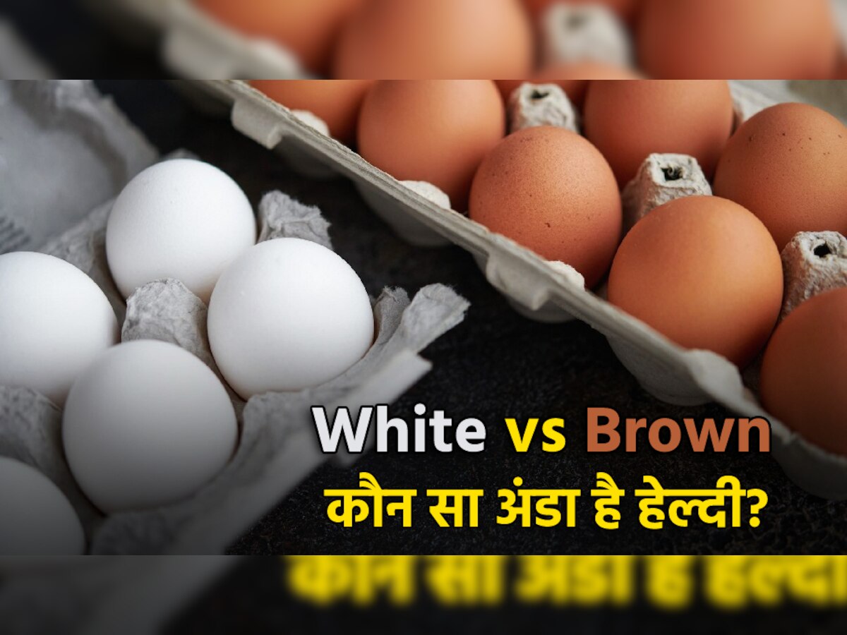 ब्राउन या सफेद अंडे: आपकी सेहत के लिए क्या है बेहतर? आइए जानते हैं
