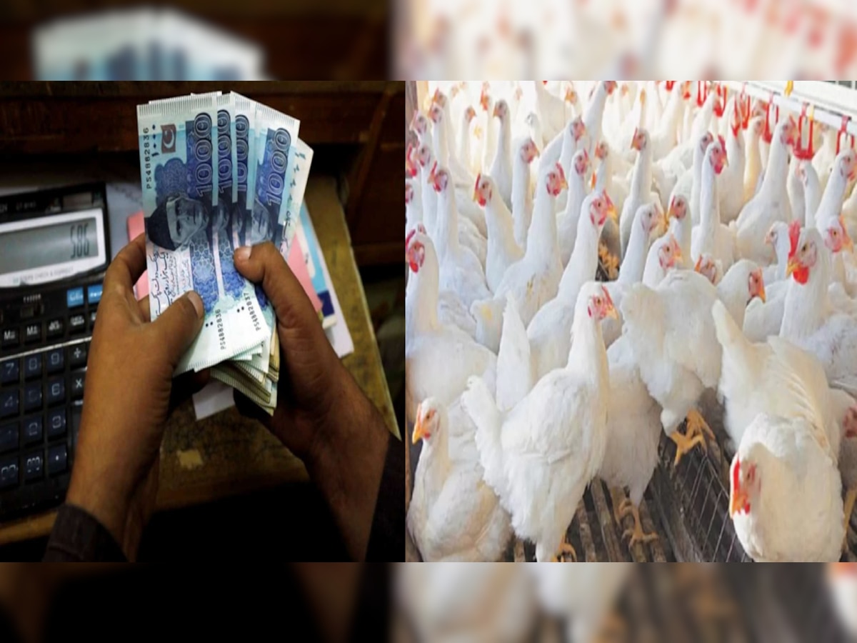 Pakistan Inflation: पाकिस्तान में आसमान पर पहुंची चिकन की क़ीमत; एक किलो के दाम सुनकर हो जाएंगे हैरान