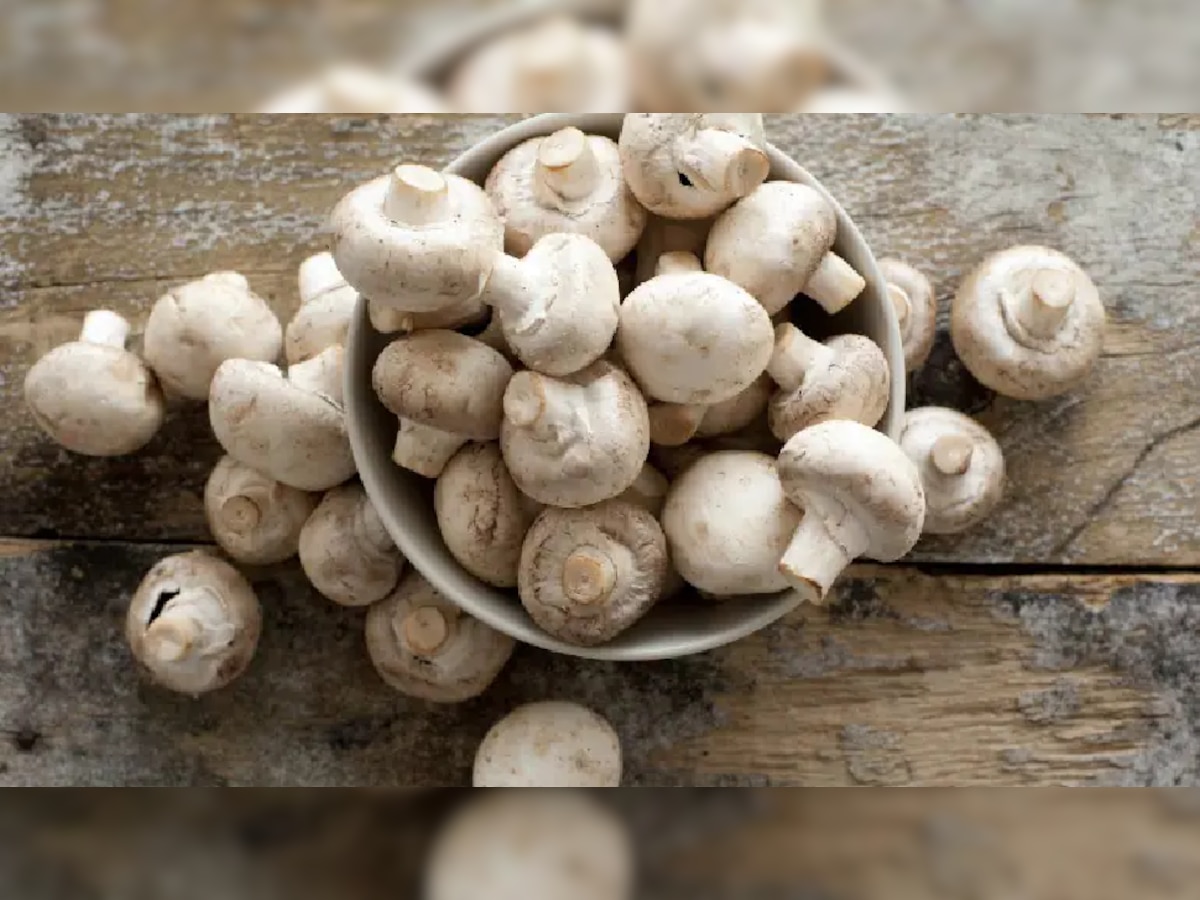 Haryana: झोपड़ी में Mushroom की खेती कर करनाल का किसान कमा रहा लाखों रुपये