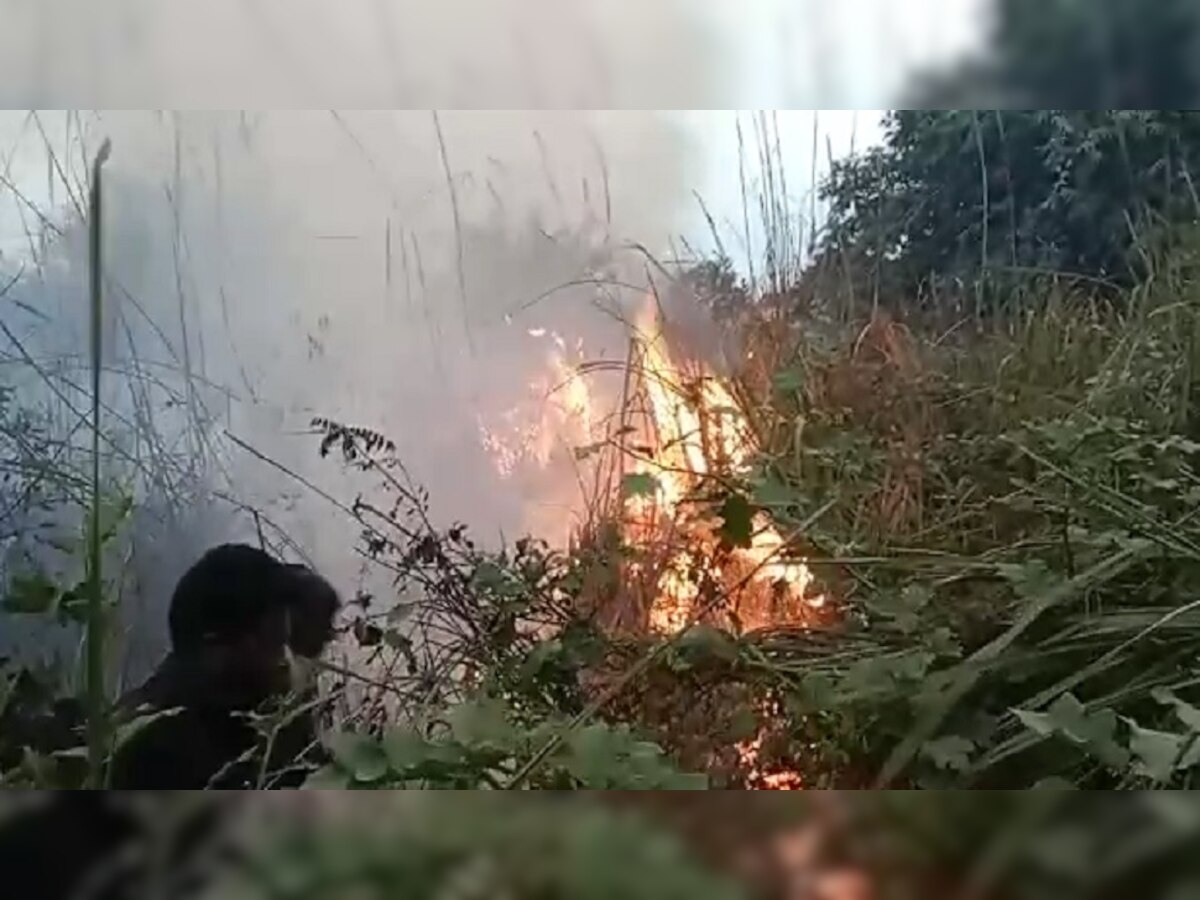 बिहार के वाल्मीकि टाइगर रिजर्व में लगी भीषण आग,धू-धू कर जल रहा है मदनपुर वन क्षेत्र