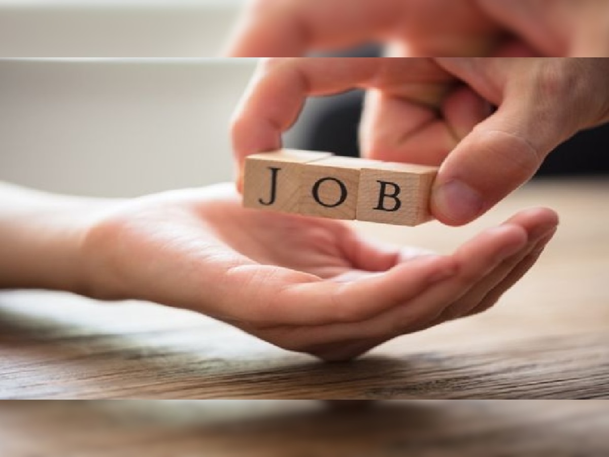 BRO Jobs 2023: बीआरओ में बंपर भर्ती, 567 पदों पर निकली वैकेंसी, ऐसे करें आवेदन 