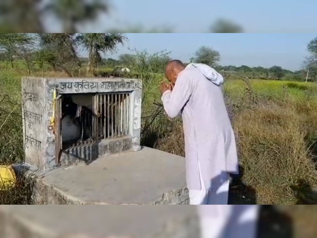 झांसी में बना है कुतिया का मंदिर, जानें बुंदेलखंड के इस 500 साल पुराने मंदिर में क्यों जुटती है भीड़