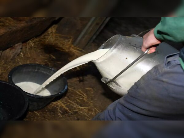 Pakistan Inflation: पाकिस्तान में चिकन के बाद अब दूध हुआ महंगा; प्रति लीटर की क़ीमत सुनकर लगेगा झटका