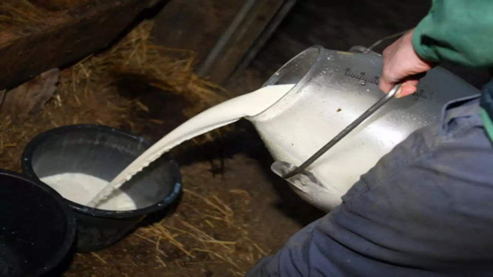 Pakistan Inflation: पाकिस्तान में चिकन के बाद अब दूध हुआ महंगा; प्रति लीटर की क़ीमत सुनकर लगेगा झटका Pakistan Inflation: पाकिस्तान में चिकन के बाद अब दूध हुआ महंगा; प्रति लीटर की क़ीमत सुनकर लगेगा झटका