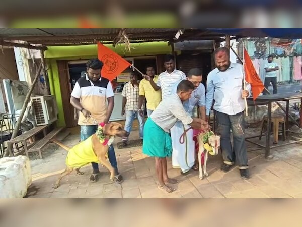 Valentine's Day: वैलेंटाइन डे के खिलाफ विरोध, कुत्तों को पहनाया मंगलसूत्र