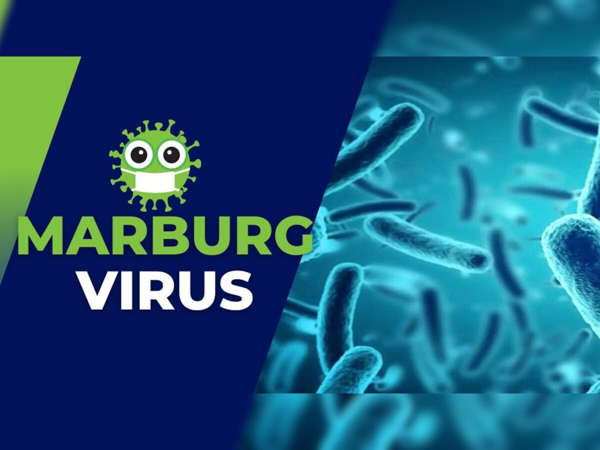 Marburg Virus: इस देश में सामने आया कोरोना से भी ज्यादा खतरनाक वायरस, WHO ने जारी की चेतावनी