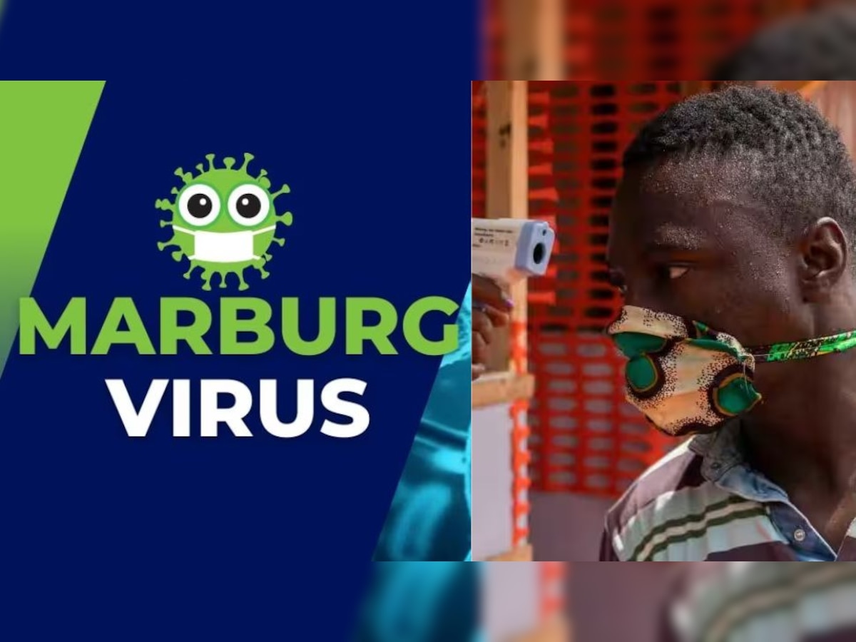 Marburg Virus: चमगादड़ों में पनपने वाली एक और बीमारी की दुनिया में दहशत, जानें क्या है मारबर्ग वायरस पर WHO की चेतावनी