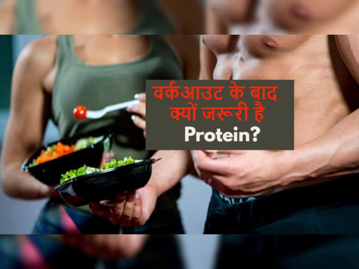 Workout के बाद बॉडी को होती है हाई प्रोटीन मील की जरूरत, खाना शुरू करें ये Foods