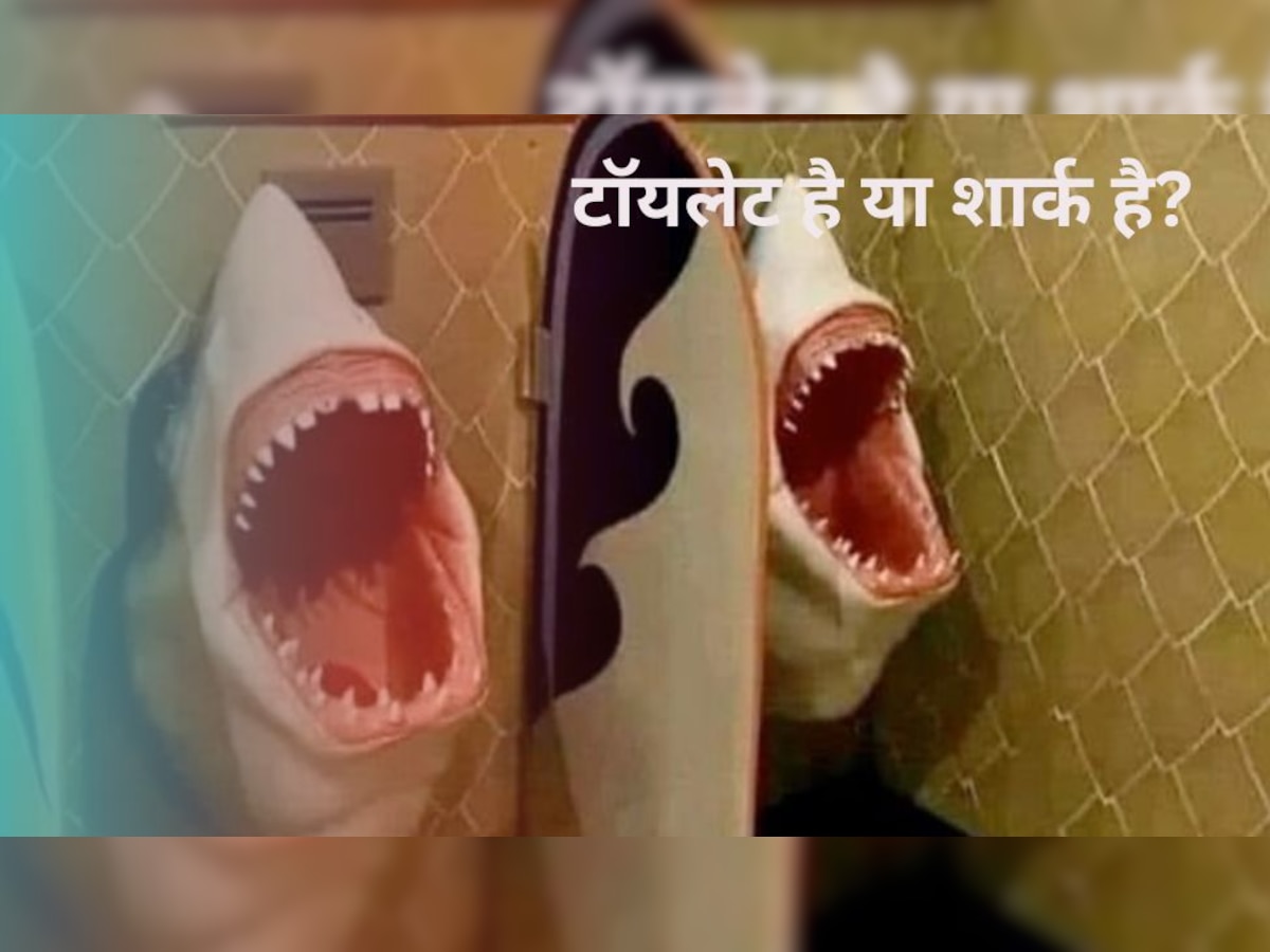 Shark Toilet: दुनिया का सबसे खतरनाक टॉयलेट, समझ में नहीं आएगा कि इसका क्या करना है!