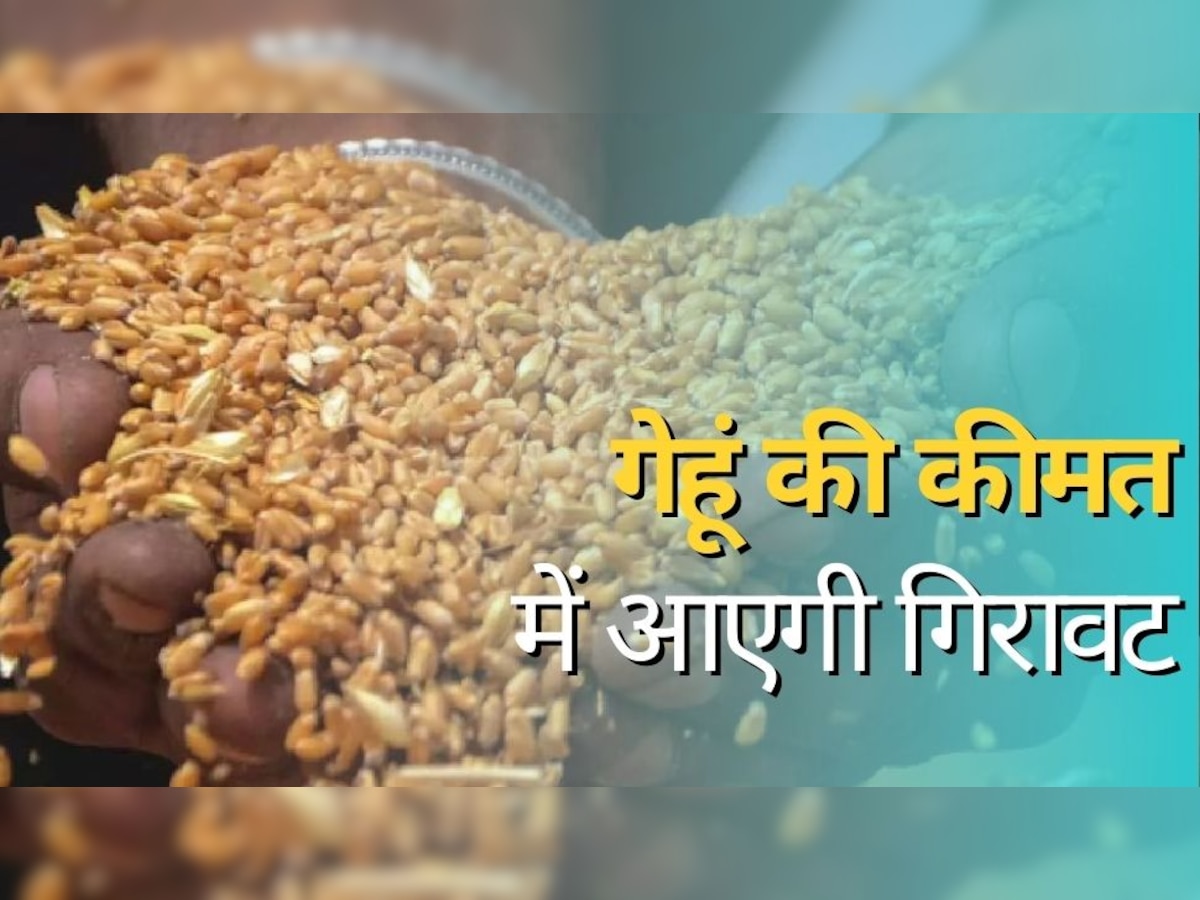 Wheat Price: महंगी नहीं म‍िलेगा गेहूं और आटा, कीमत में कमी के ल‍िए मोदी सरकार ने उठाया यह बड़ा कदम