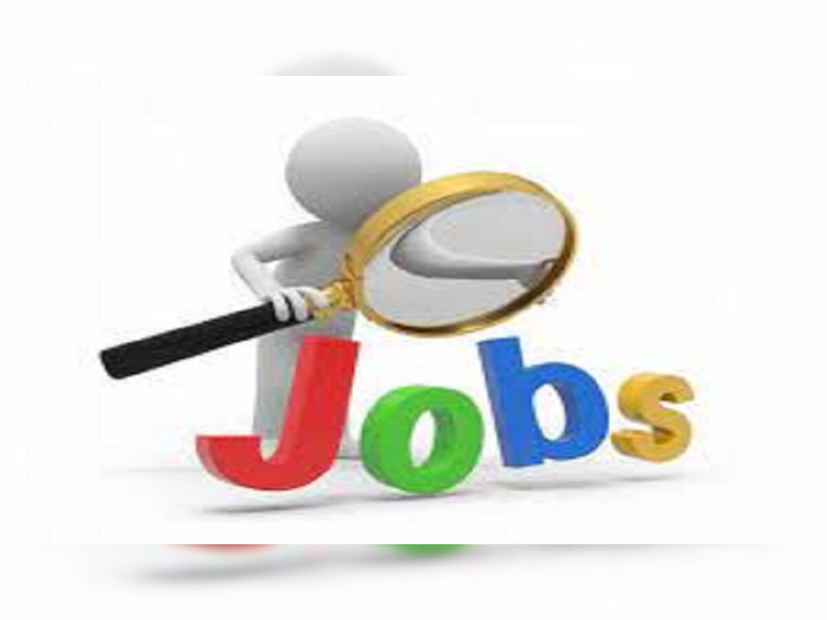 Job Alert : बेगूसराय में 17 फरवरी को लगेगा रोजगार मेला, इंटर और ग्रेजुएट युवाओं को मिलेगा मौका