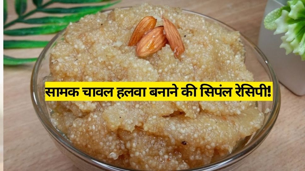 How To Make Samak Rice Halwa Mahashivratri Special Vrat Wali Recipe