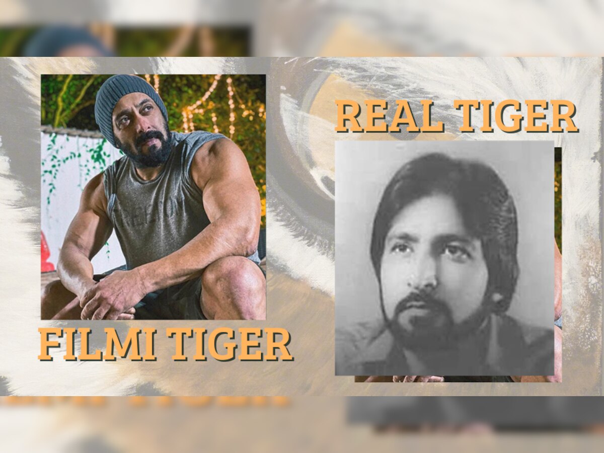 Salman Khan: नकली से जब मिल रहा सम्मान, तो असली टाइगर की बायोपिक से डर गए सलमान