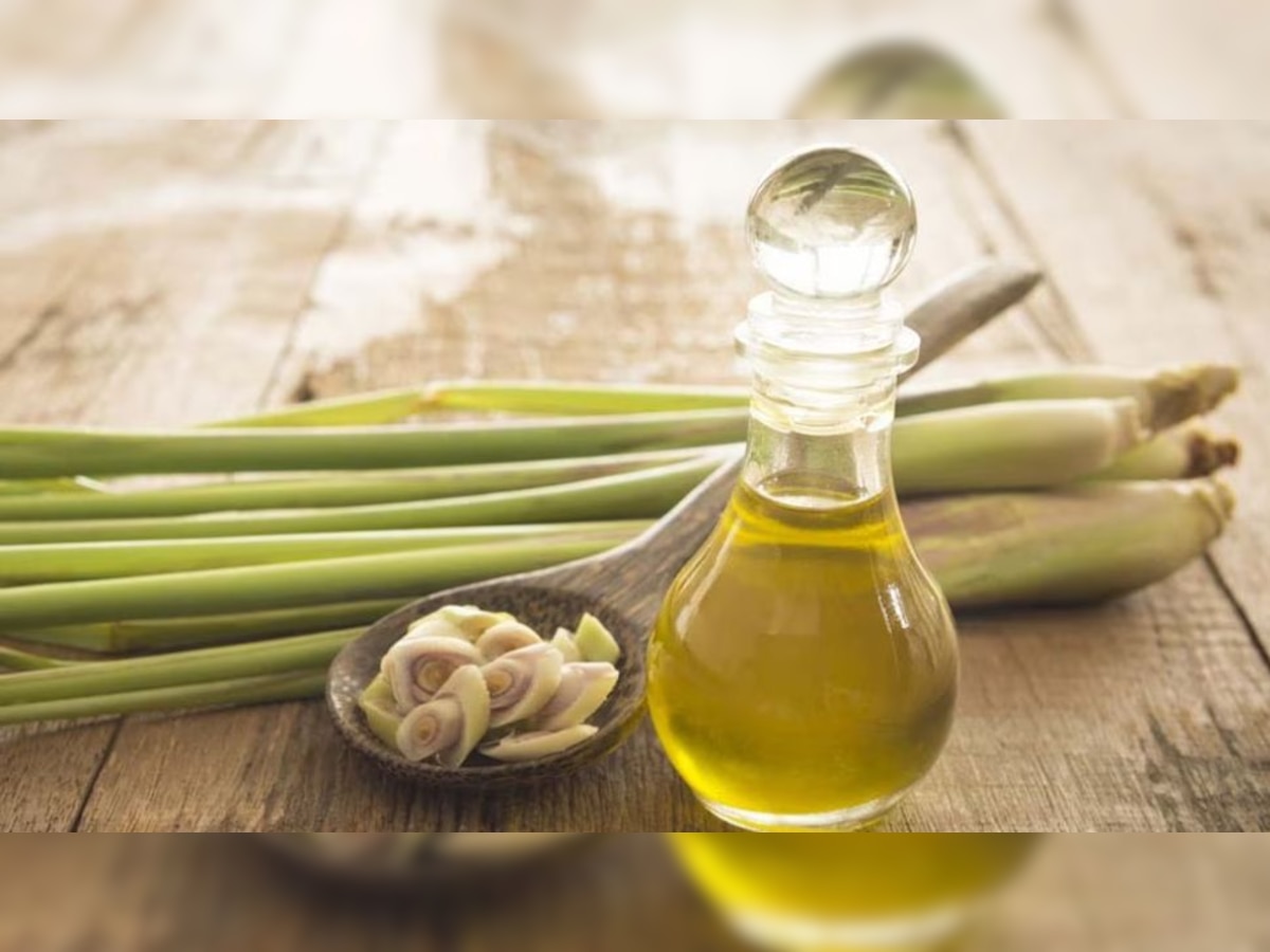 Lemongrass Oil Benefits: दिल की बीमारियों से दूर रखता है लेमनग्रास, ऐसे करेंगे इस्‍तेमाल तो शरीर से नहीं आएगी बदबू  