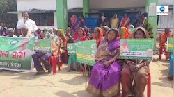 Rice Politics Bjd Protest Against Central Government 