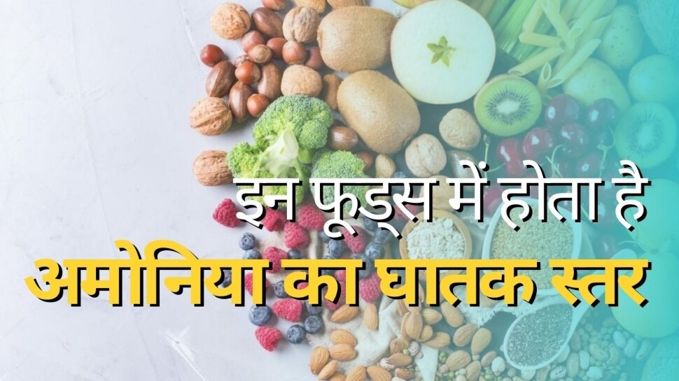 Peanut butter onions cheese these 5 foods have high level of ammonia