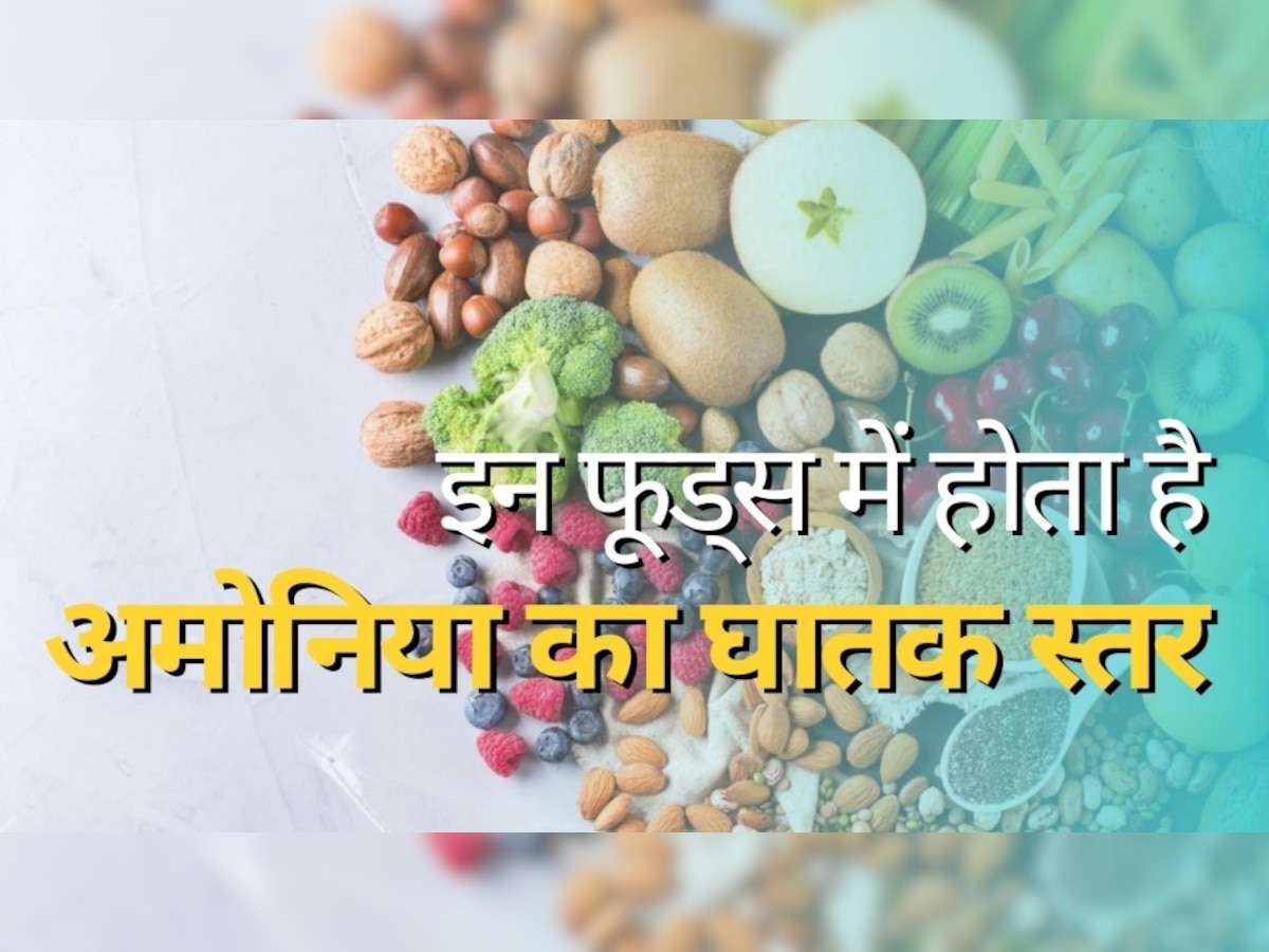 High Ammonia Foods: सावधान! ये 5 फूड बर्बाद कर देते हैं लिवर और किडनी, खतरनाक स्तर का होता है अमोनिया