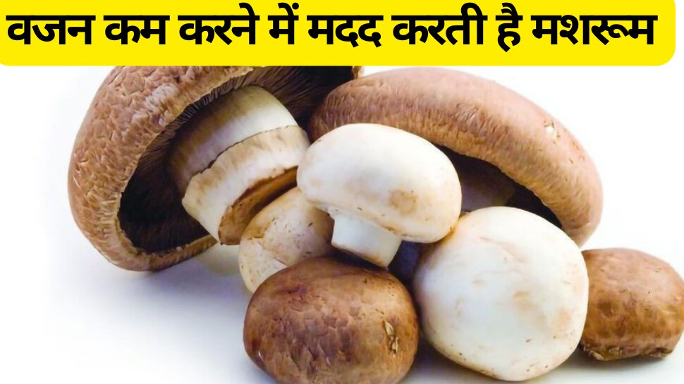 health tips mushrooms help in reducing weight Mushroom वजन कम करने में मदद करती है मशरूम, इन