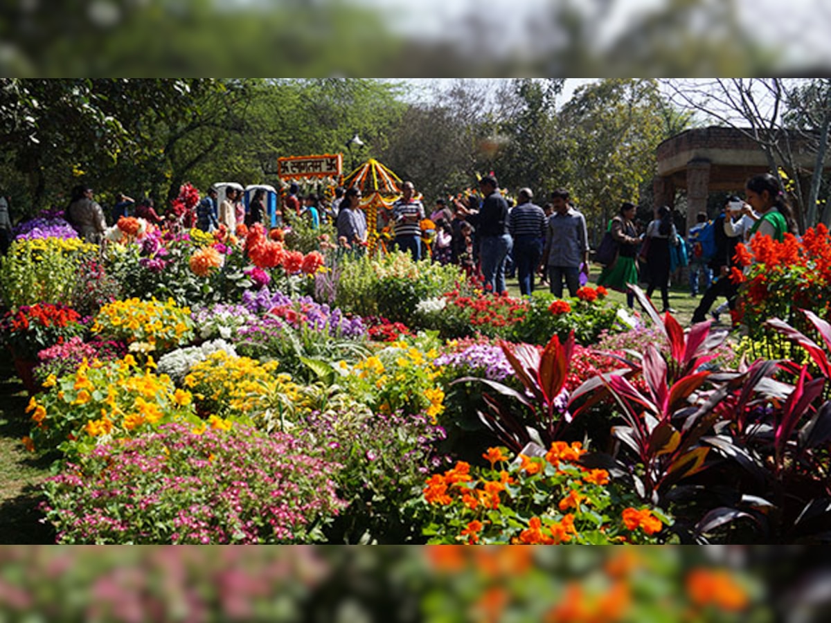 Delhi: इस दिन शुरू होगा Garden Tourism Festival, जानें Location, Timing और ये खास बात 