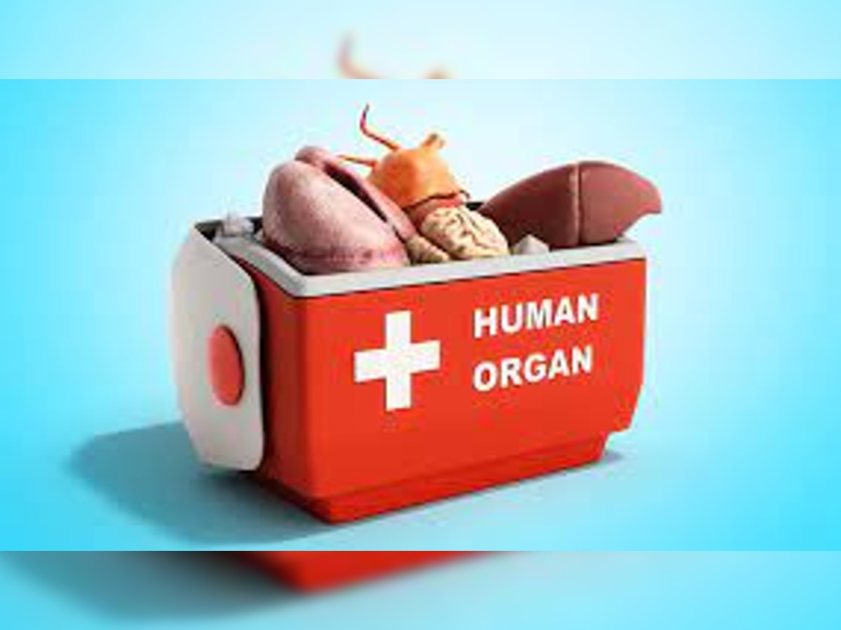 Organ Transplant के लिए बदले गए नियम, सरकार ने उठाए ये कदम 