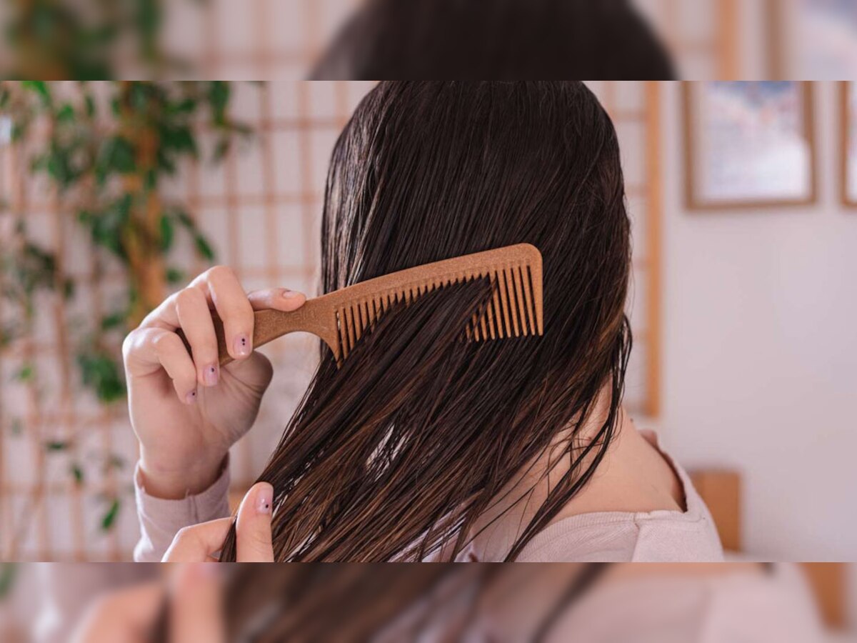 Hair Comb Rules: क्या हमें गीले बालों में कंघी करनी चाहिए या नहीं? जान लें एक्सपर्टों की राय, वरना हो जाएंगे गंजेपन के शिकार