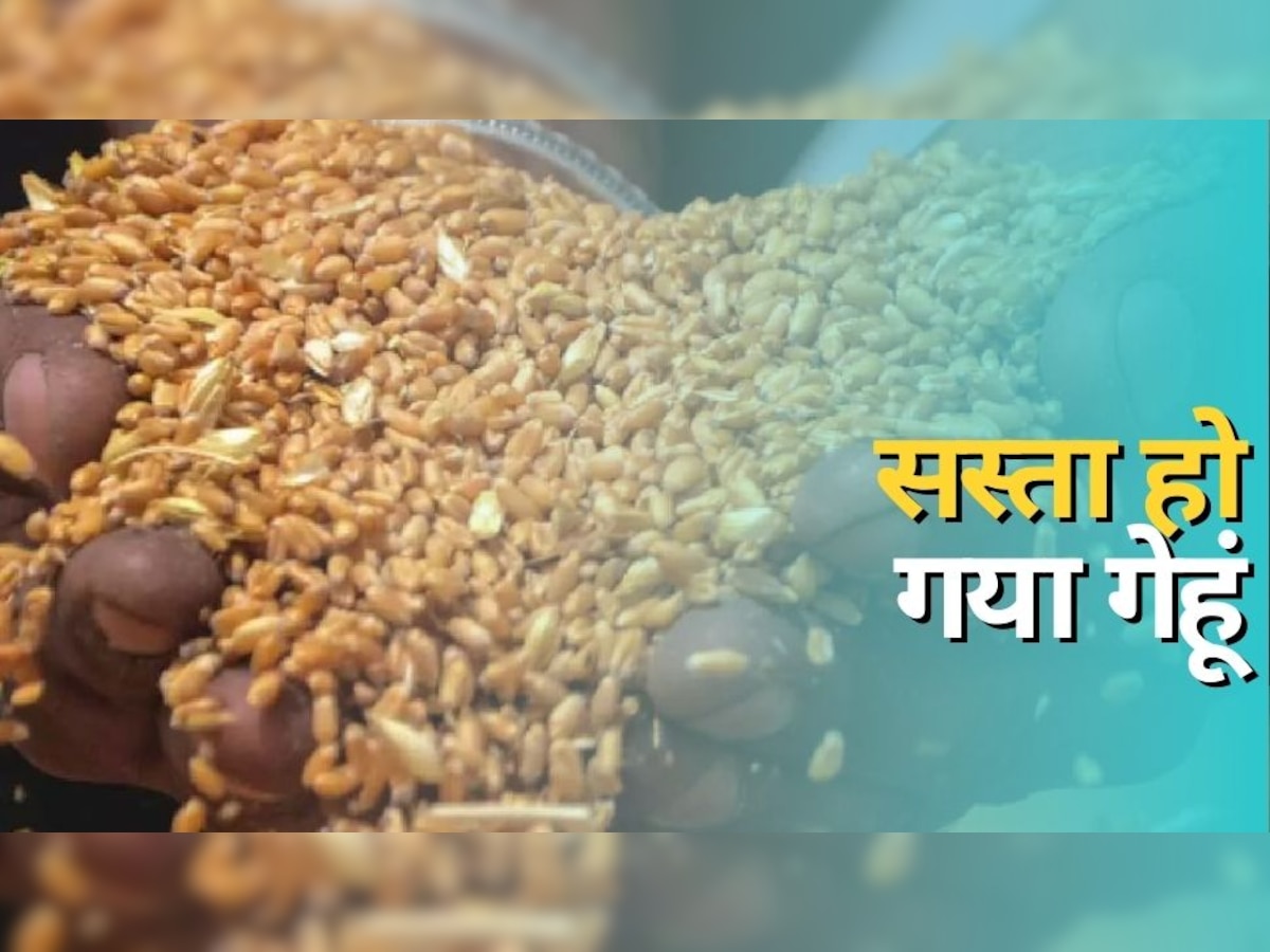 Wheat Price Cut: सरकार ने आम आदमी को दी बड़ी राहत, दूसरी बार घटाया गेहूं का रेट; जान‍िए नया दाम