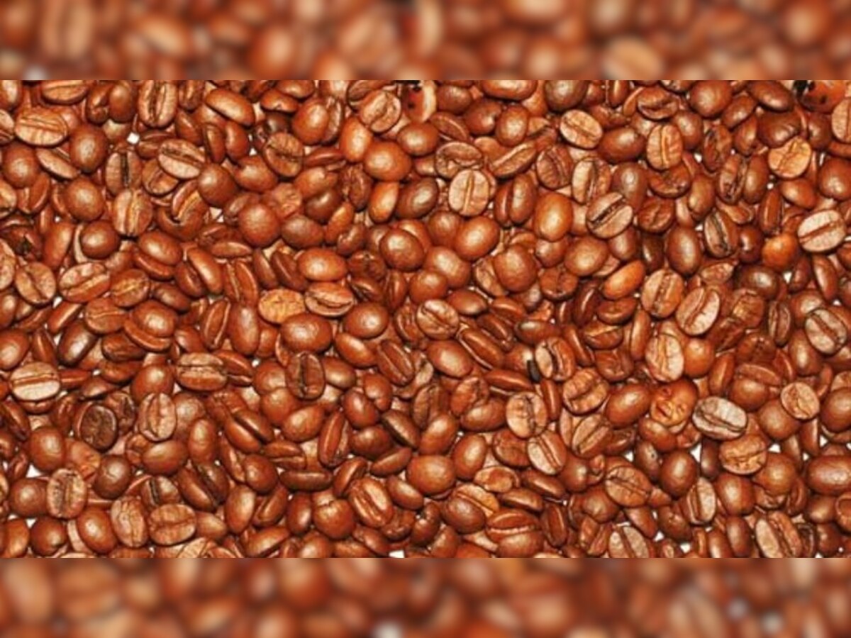 Optical Illusion: मात्र 8 सेकेंड में इन कॉफी बीन्स के बीच छिपे 3 बच्चों को ढूंढ़ने वाला होगा असली Genius