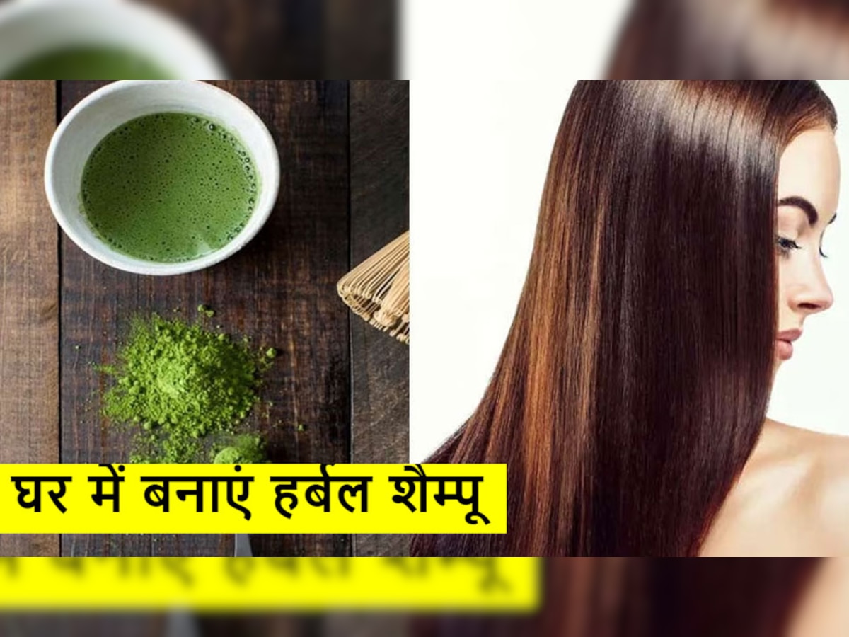 Green Tea Herbal Shampoo घर में ही करें तैयार करें, बाल बनेंगे सिल्की और शाइनी 
