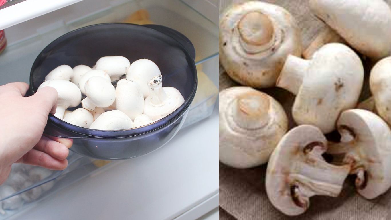 Kitchen Tips If you want to keep mushrooms fresh for many days store