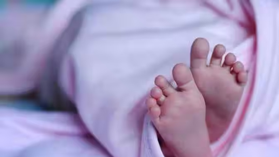 Bihar: बच्चा पैदा होने के तुरंत बाद युवती एग्जाम देने पहुंची; किस्सा सुन आप भी देंगे हिम्मत को दाद Bihar: बच्चा पैदा होने के तुरंत बाद युवती एग्जाम देने पहुंची; किस्सा सुन आप भी देंगे हिम्मत को दाद