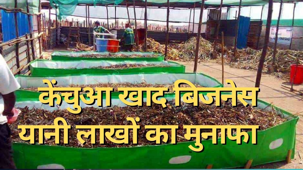 Business Idea Kenchua Khad Business cost and profit